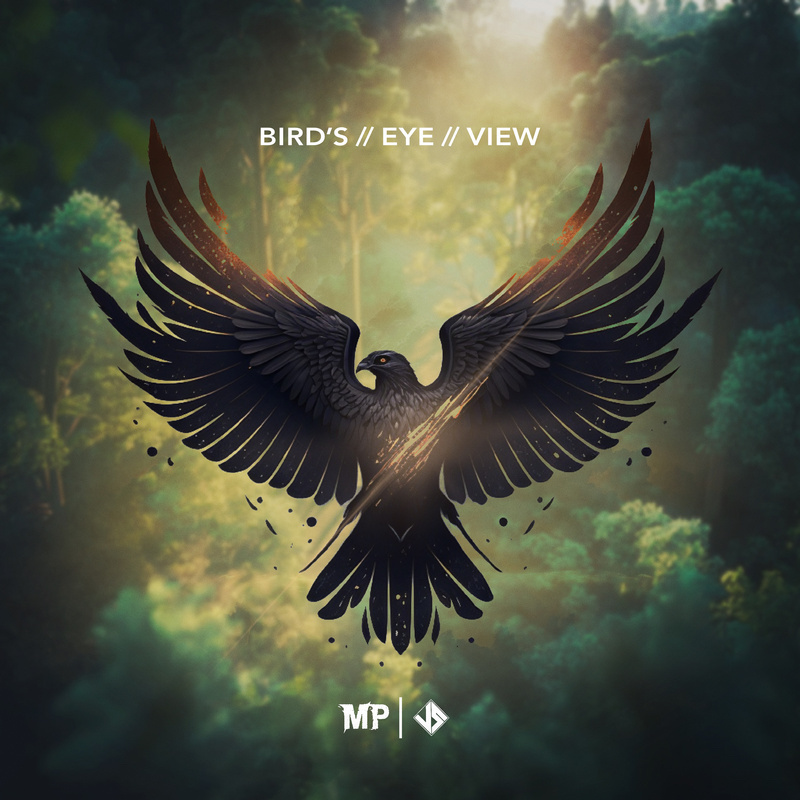 Matthew Parker Bird's Eye View