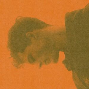 Trust - Fall by Joseph O'Brien